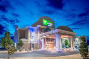 Holiday Inn Express Hotel & Suites Hobbs, an IHG Hotel